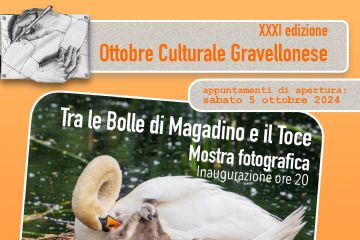 L'immagine riporta le seguenti informazioni: trentunesima edizione dell'Ottobre Culturale Gravellonese, inaugurazione sabato 5 ottobre 2024 con la mostra fotografica intitolata "Tra le bolle di Magadino e il Toce". Fotografia di cigno con piccoli