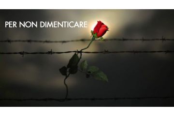 Una rossa rossa all'interno di una barriera di filo spinato e la scritta "per non dimenticare"