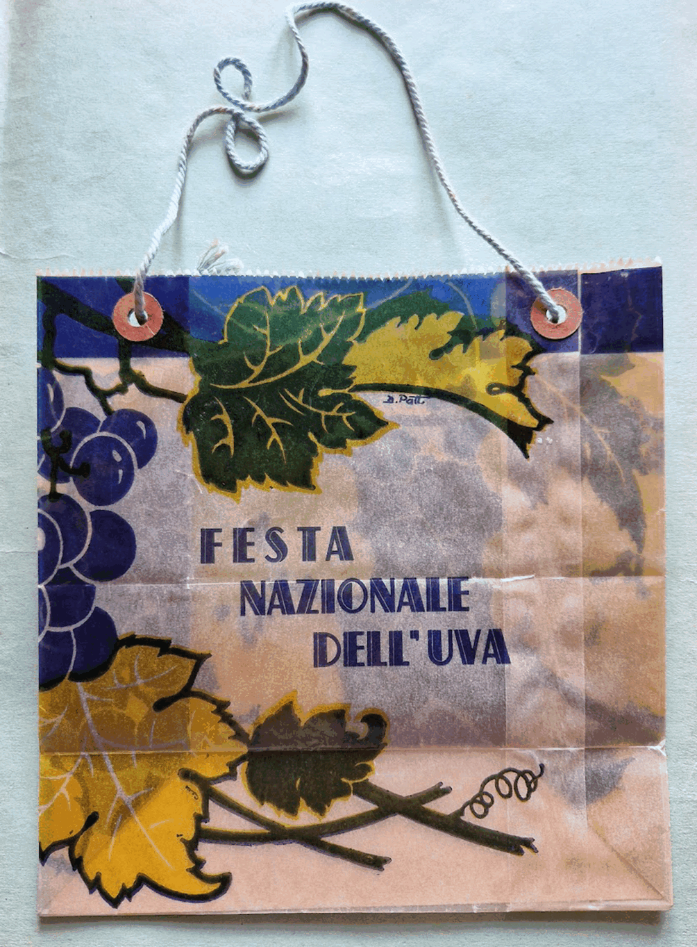L'immagine raffigura una borsa di carta con disegni di foglie di vigna